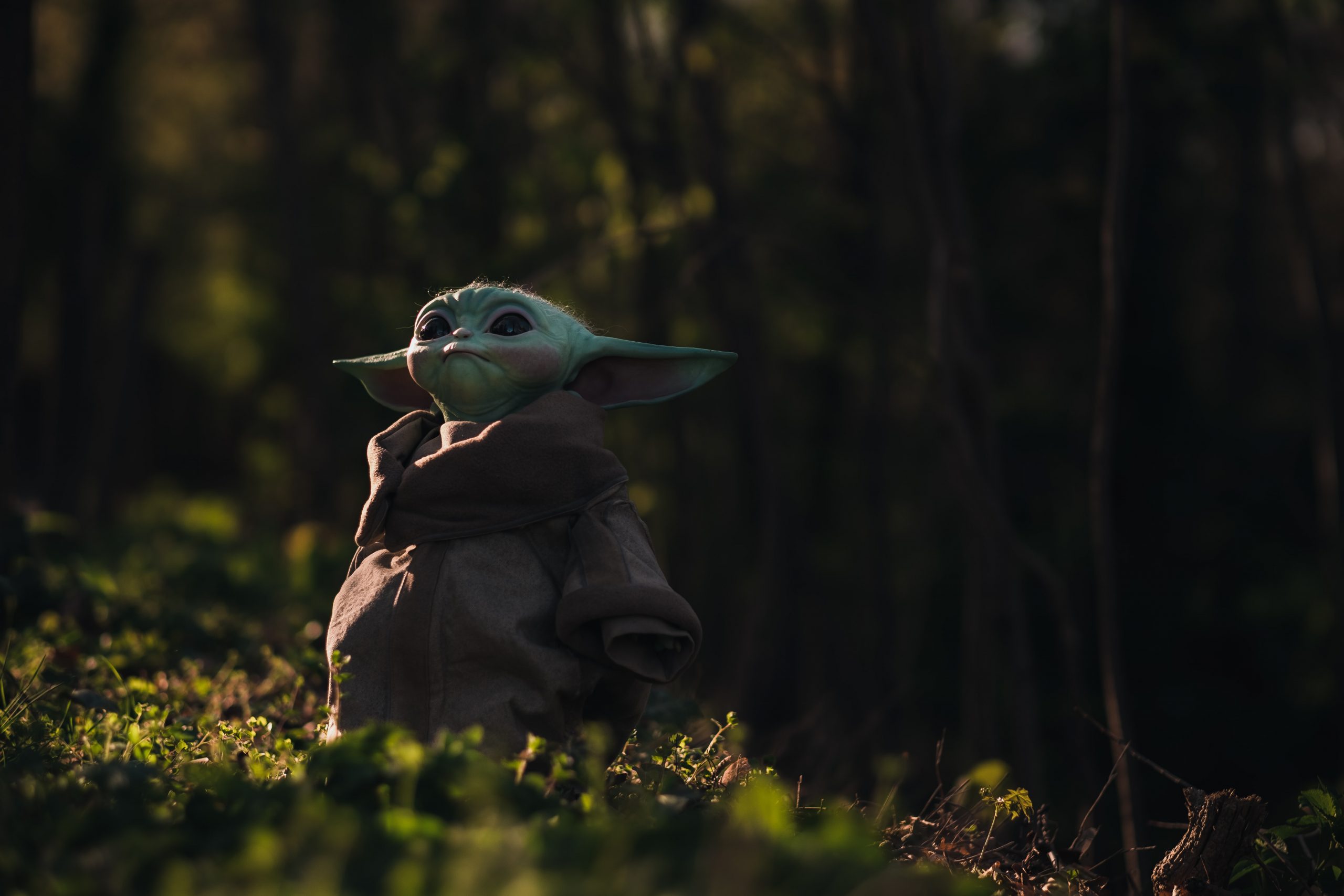Baby Yoda in grass